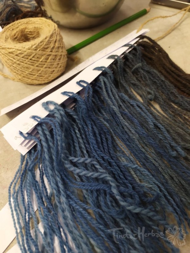 KURZ PŘÍRODNÍ BARVENÍ: Vlna a indigo