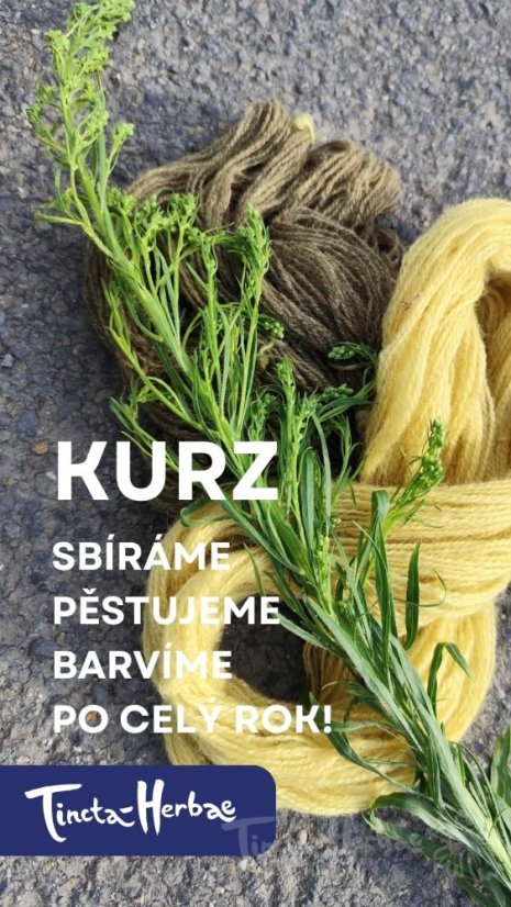 I_KURZ Sbíráme, pěstujeme, barvíme s barvířskými rostlinami po celý rok! 20. - 21. 3. 2027 VSETÍN