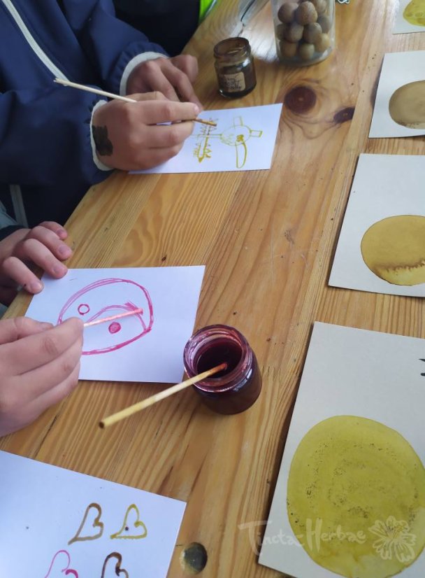 KURZ PŘÍRODNÍ BARVIVA pro pedagogy 30.8.2026 Vsetín