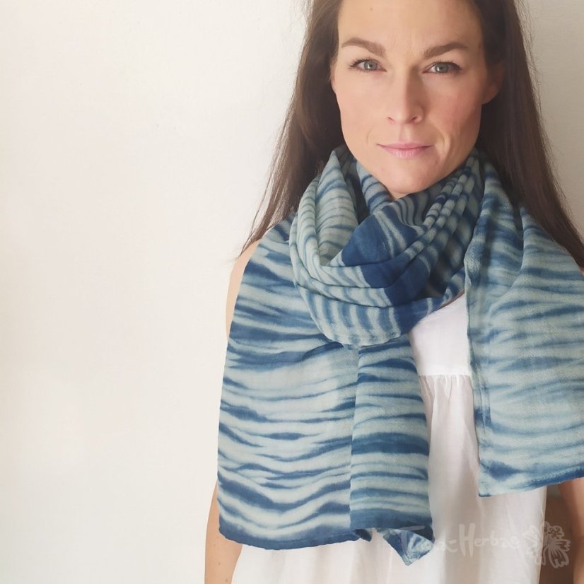 DEN (S) PŘÍRODNÍM BARVÍŘEM 1. 11. 2026 VSETÍN