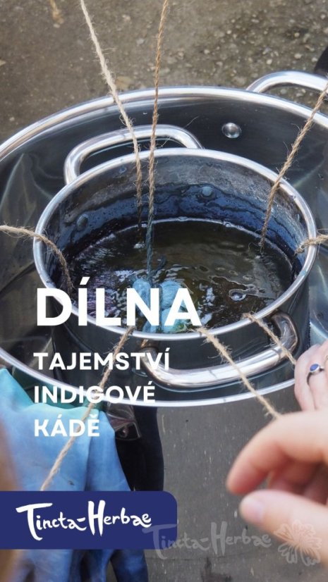 DÍLNA TAJEMSTVÍ INDIGOVÉ KÁDĚ 9. 5. 2026 VSETÍN