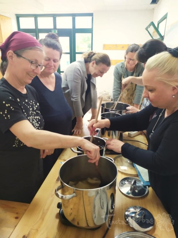 KURZ PŘÍRODNÍ BARVENÍ:  Vlna a rostlinná mořidla 25. - 26. 4. 2026 Vsetín