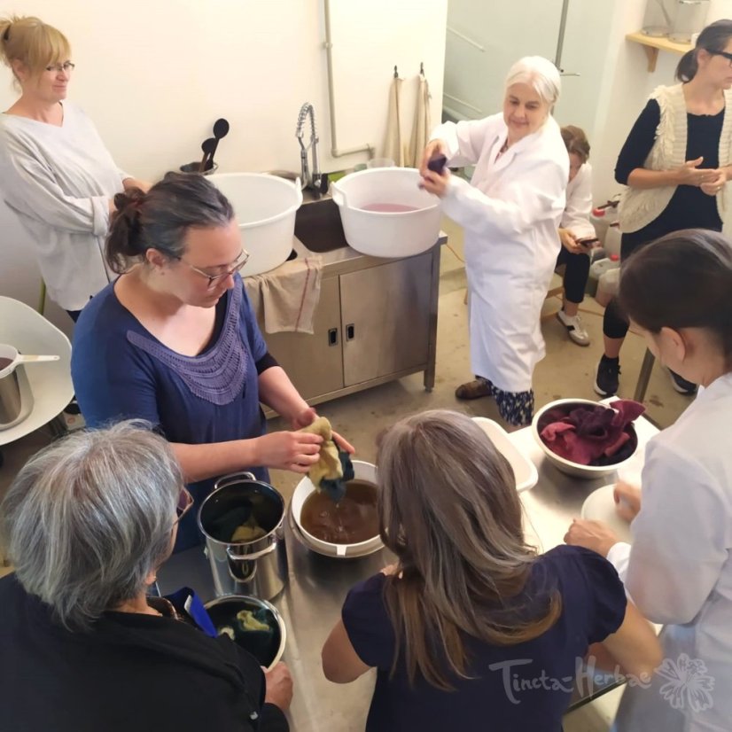 KURZ PŘÍRODNÍ BARVENÍ:  Vlna a rostlinná mořidla 25. - 26. 4. 2026 Vsetín