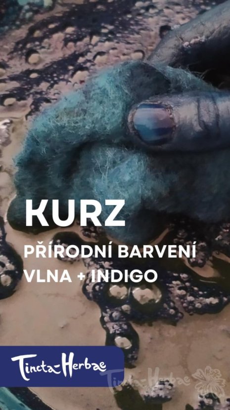 KURZ PŘÍRODNÍ BARVENÍ: Vlna a indigo