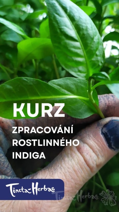 KURZ Zpracování rostlinného indiga 2. pol. srpen 2026 VSETÍN