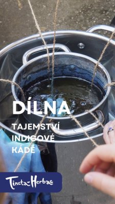 DÍLNA TAJEMSTVÍ INDIGOVÉ KÁDĚ 9. 5. 2026 VSETÍN