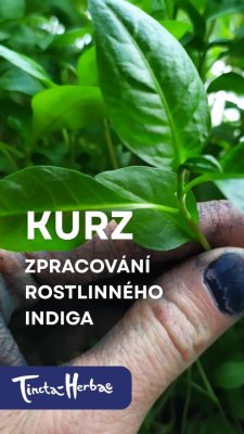 Q_KURZ Zpracování rostlinného indiga 10. - 11. 7.  2027 VSETÍN