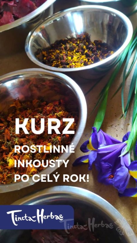 KURZ ROSTLINNÉ INKOUSTY:      Po celý rok !  VSETÍN  27. 9. 2026