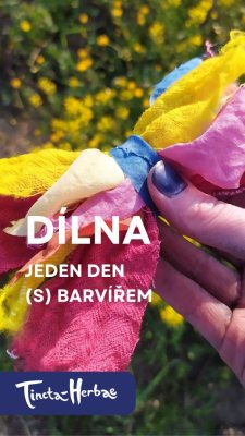 DEN (S) PŘÍRODNÍM BARVÍŘEM 1. 11. 2026 VSETÍN