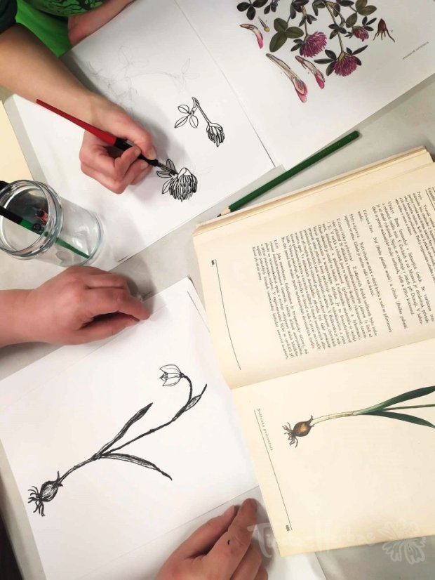 Výtvarné podvečery pro tvořivé DOSPĚLÁKY 20. 11. 2025