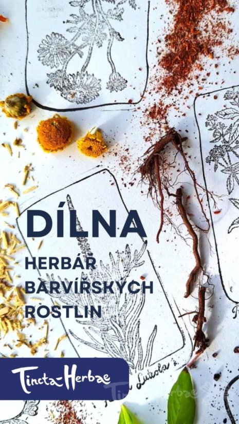 DÍLNA Herbář barvířských rostlin