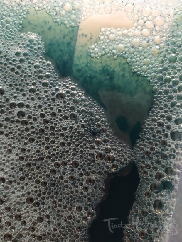 KURZ Zpracování rostlinného indiga 1. - 2. 8. 2026 Vsetín