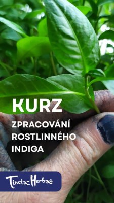 KURZ Zpracování rostlinného indiga 22. - 23. 8.  2026 VSETÍN